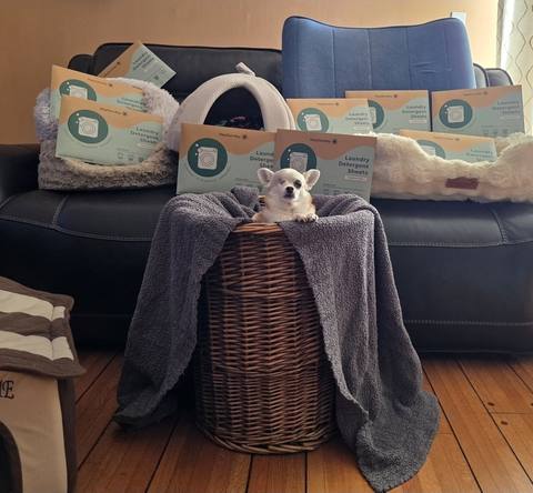 Survivor from K9 Rescue of VA in a laundry basket beside HeySunday laundry sheet packs