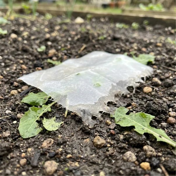 Biodegradable
