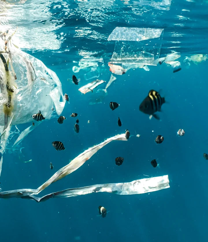 Fish swimming through plastic waste underwater