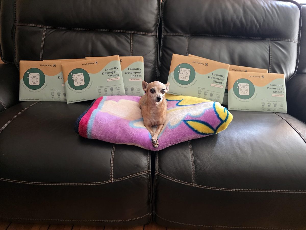 Bambi, a small dog from K9 Rescue of VA, curled up in a blanket next to HeySunday laundry sheet packs
