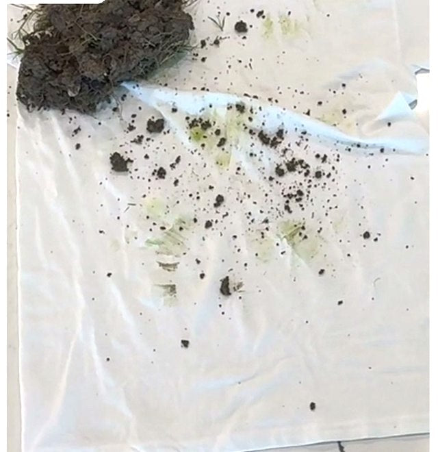 A white shirt with grass and dirt on it